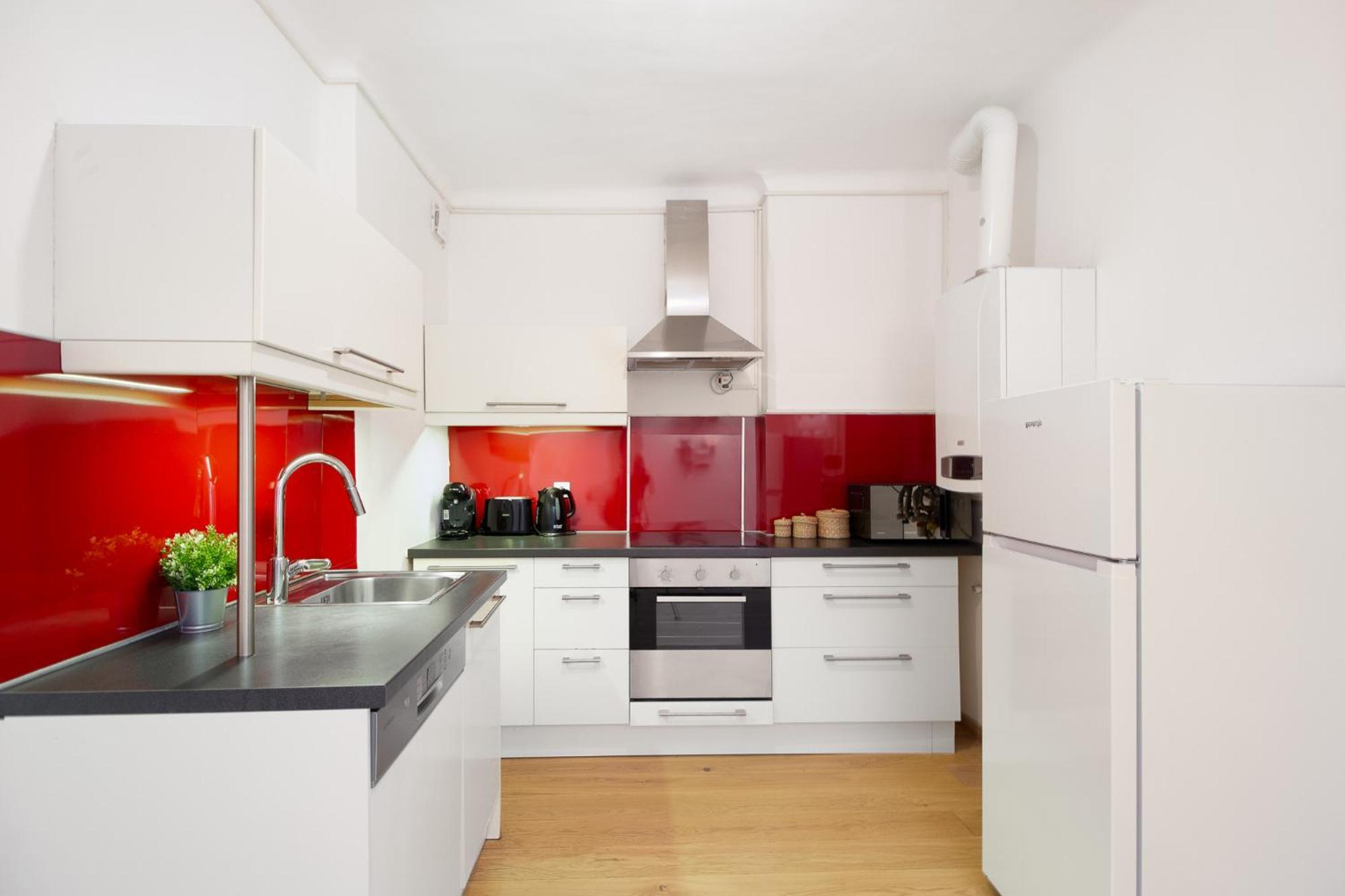 Apartment Ballgasse Viyana Dış mekan fotoğraf